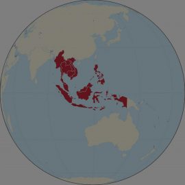 Imagen globo terrestre con las zonas de venta Indonesia y malasia rojo